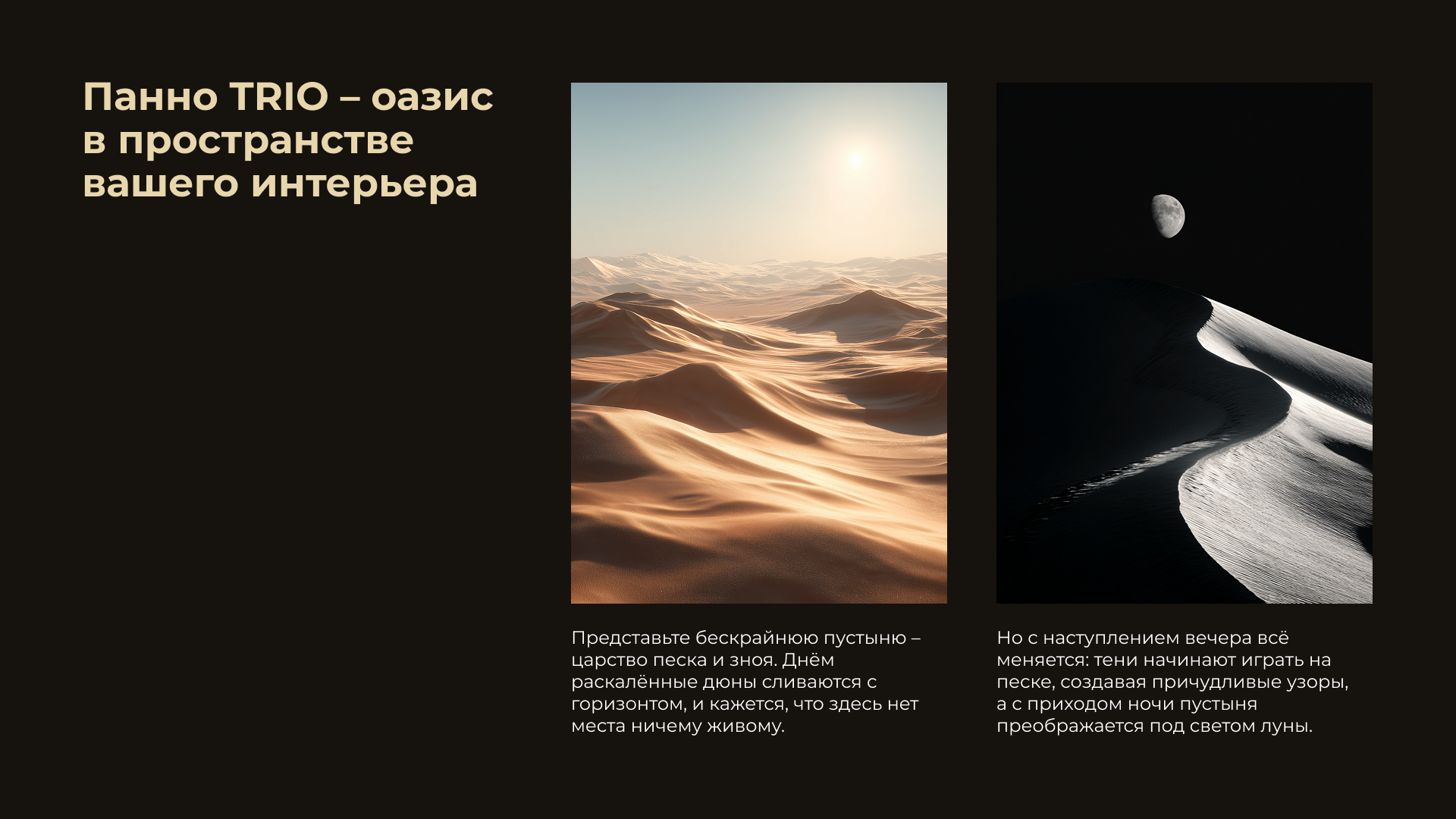 ТРИО content section 3